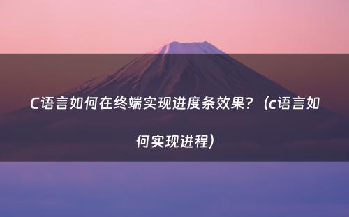 C语言如何在终端实现进度条效果?（c语言如何实现进程）