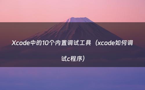 Xcode中的10个内置调试工具（xcode如何调试c程序）