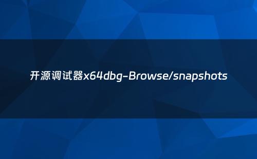 开源调试器x64dbg-Browse/snapshots