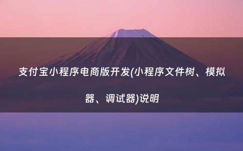 支付宝小程序电商版开发(小程序文件树、模拟器、调试器)说明