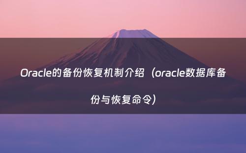 Oracle的备份恢复机制介绍（oracle数据库备份与恢复命令）