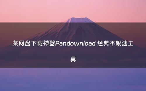 某网盘下载神器Pandownload 经典不限速工具