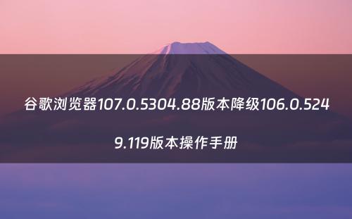 谷歌浏览器107.0.5304.88版本降级106.0.5249.119版本操作手册