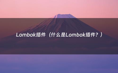 Lombok插件（什么是Lombok插件？）