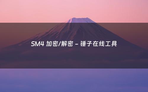 SM4 加密/解密 - 锤子在线工具