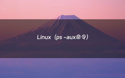 Linux（ps -aux命令）