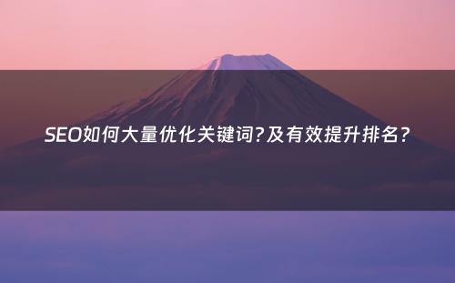 SEO如何大量优化关键词?及有效提升排名?