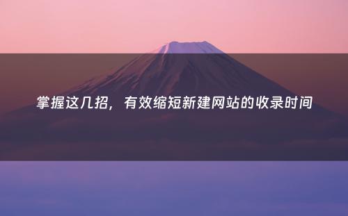 掌握这几招，有效缩短新建网站的收录时间