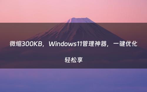 微缩300KB，Windows11管理神器，一键优化轻松享