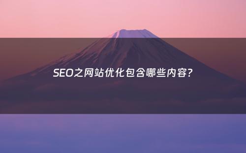 SEO之网站优化包含哪些内容?