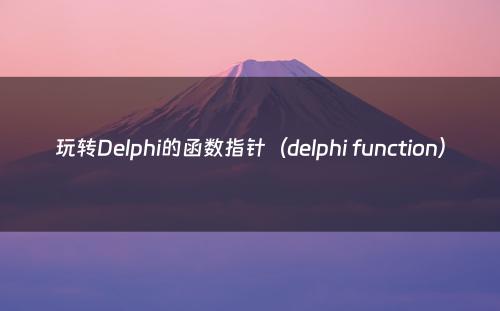 玩转Delphi的函数指针（delphi function）