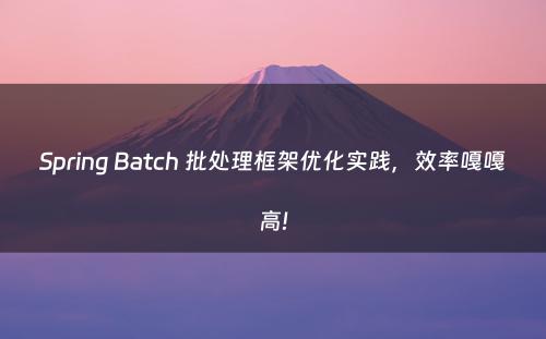 Spring Batch 批处理框架优化实践，效率嘎嘎高!