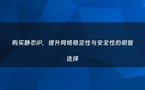 购买静态IP，提升网络稳定性与安全性的明智选择