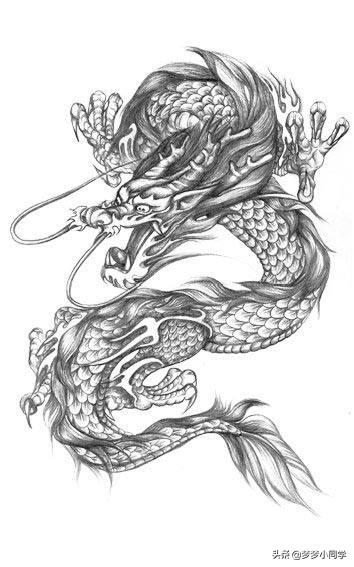 龙 成语（龙蛇成语）