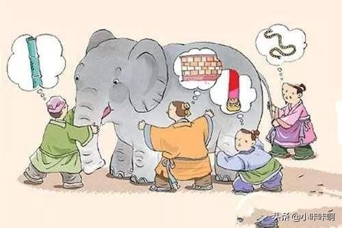 盲人摸象猜一成语（盲人摸象打一成语谜底是）