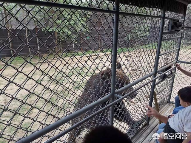 来字开头的成语（得字开头的四字成语）