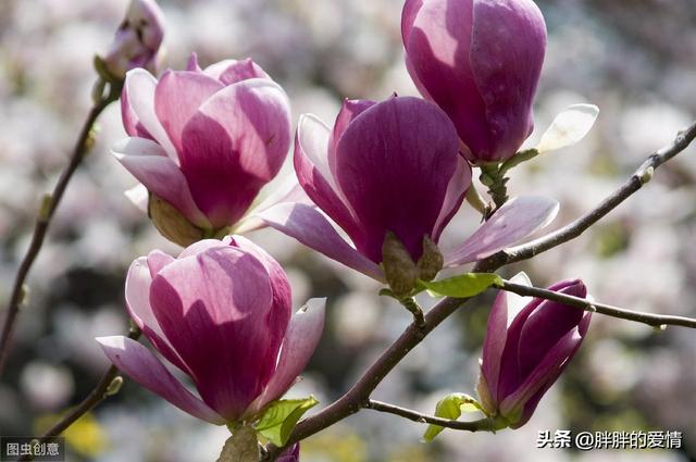 有深度有涵养的句子（夸赞男人有深度有涵养的句子）