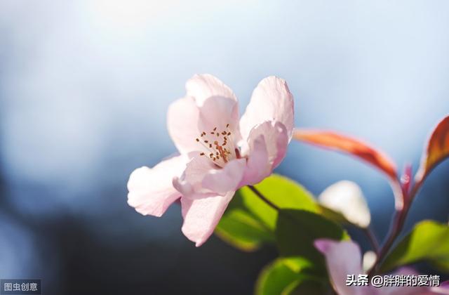 有深度有涵养的句子（夸赞男人有深度有涵养的句子）