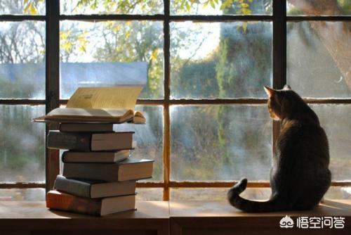 读书的好处（读书的好处和重要性）