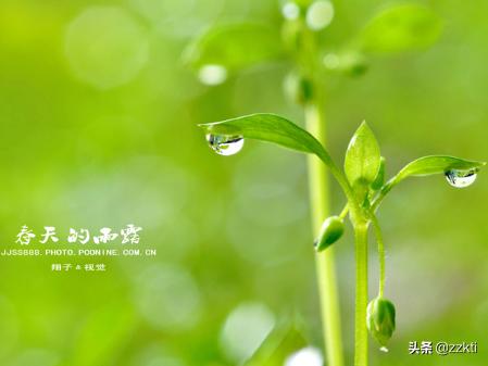 关于春天的古诗（关于春天的古诗二年级）