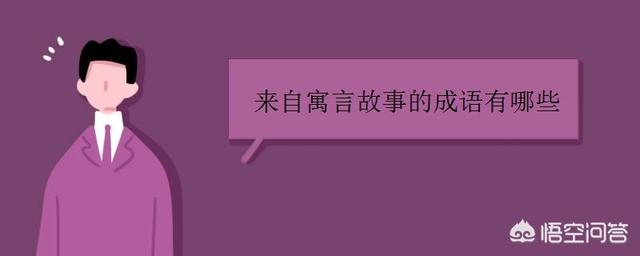 关于寓言故事的成语（那些关于寓言故事的成语）