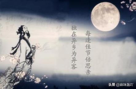 独在异乡为异客的异是什么意思