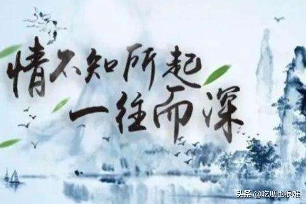 不知所往（不知所往是什么意思）