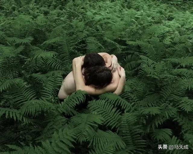 指桑骂槐（指桑骂槐怎么读）